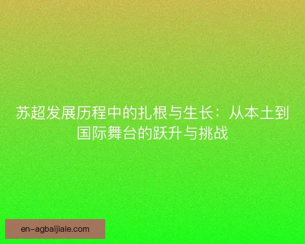 苏超发展历程中的扎根与生长：从本土到国际舞台的跃升与挑战